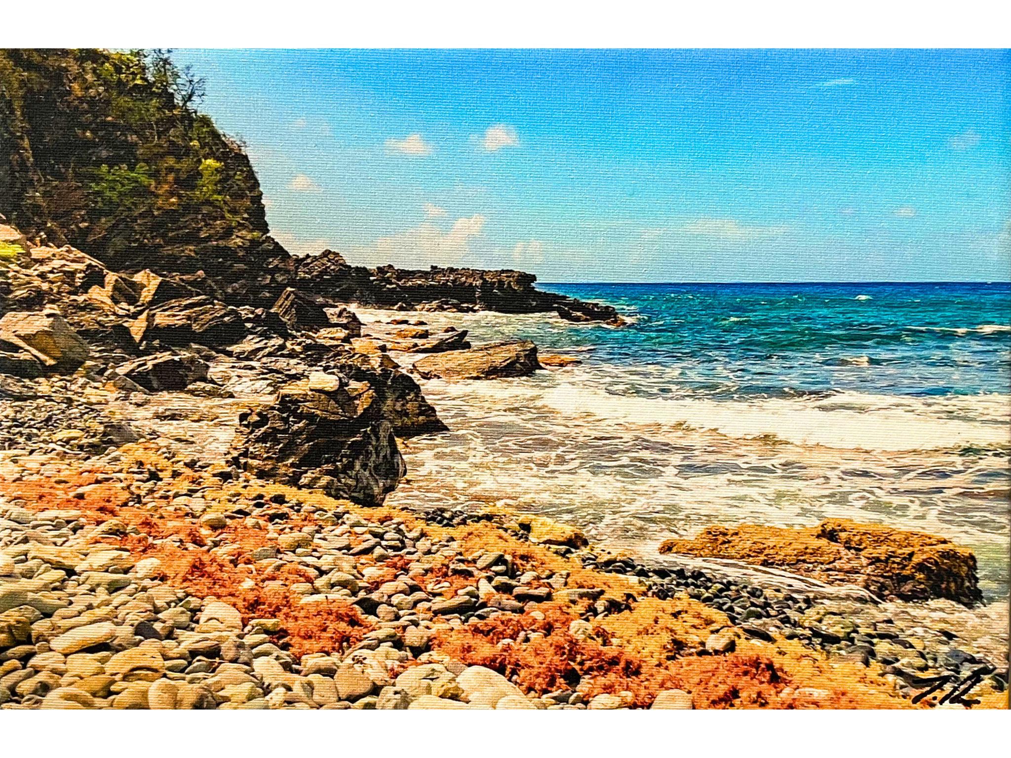 Joseph Pryor -  Rocky Beach