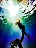 David Berg - Ocean's Gift
