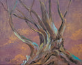Carolyn Roblyer - Deep End Tree