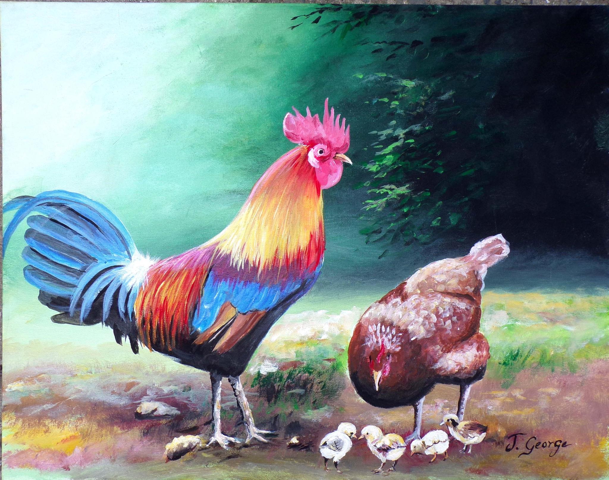 Joffre George - St. Croix Chickens