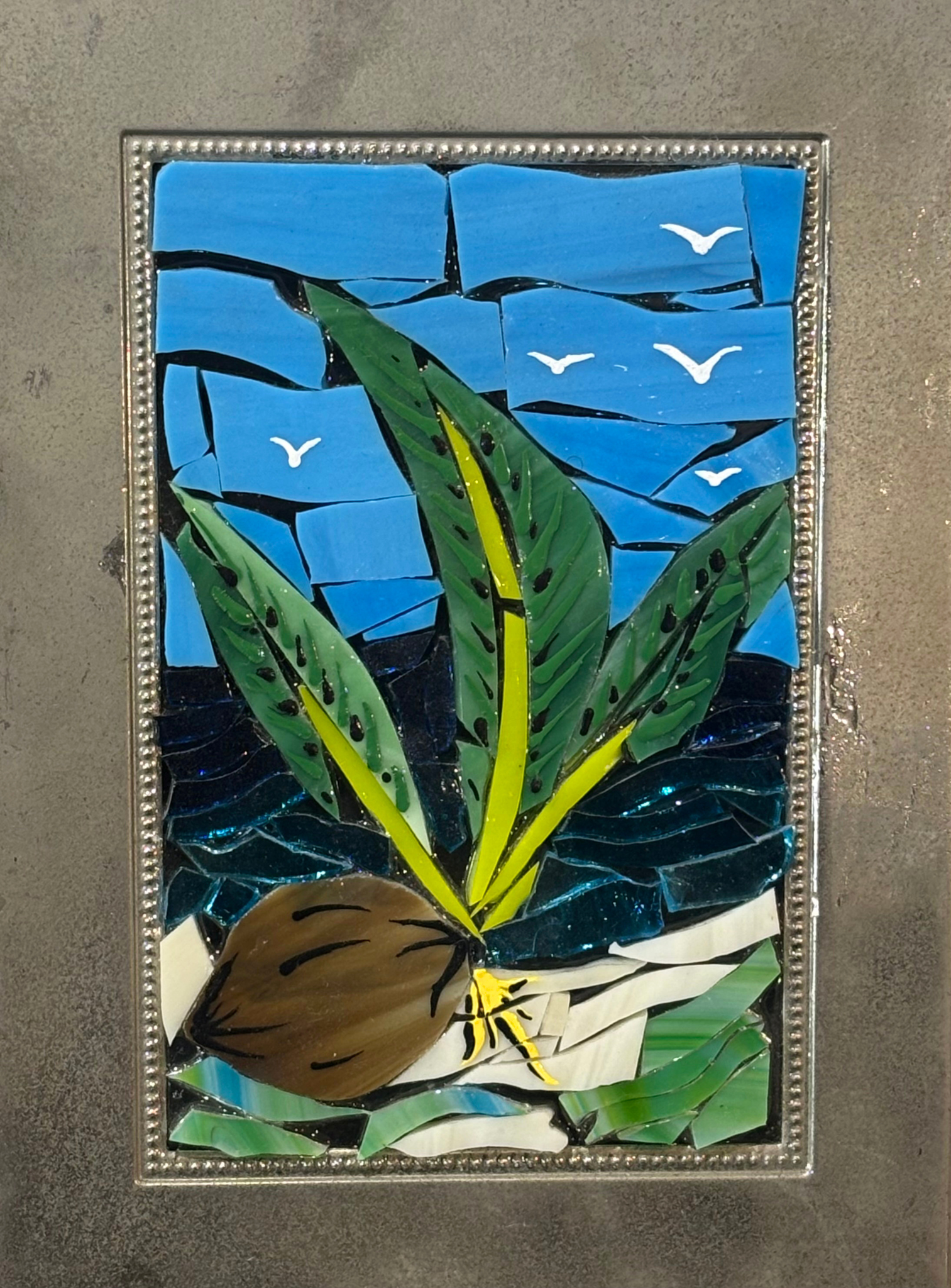 Jona Siverly - Coconut Sprout