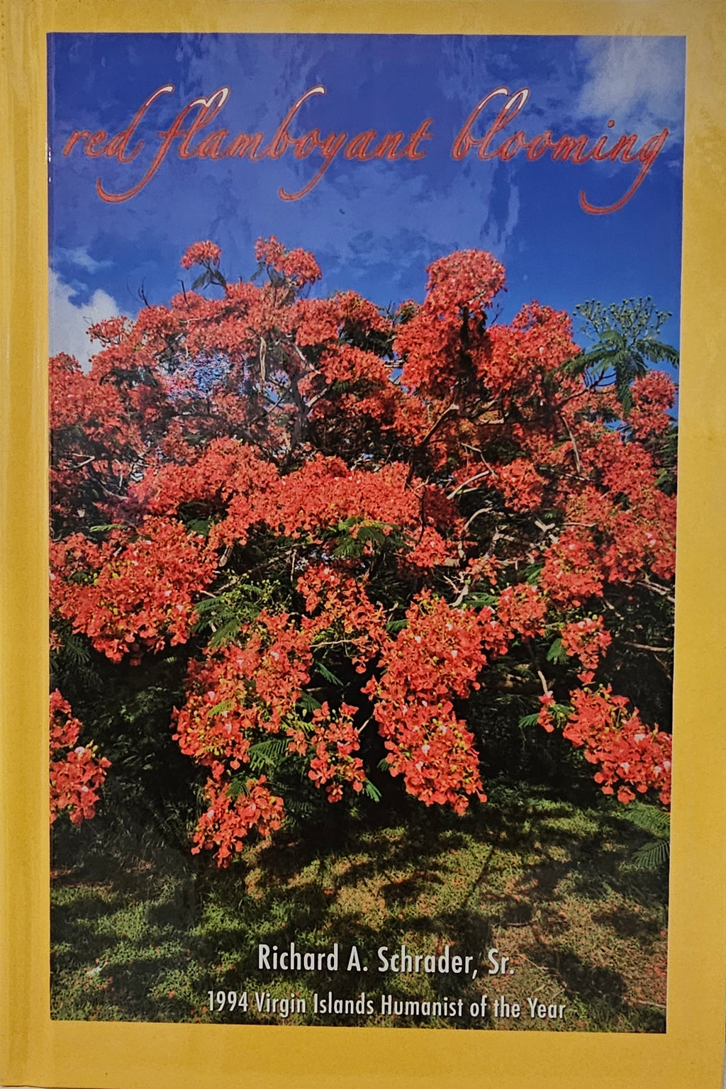 Richard Schrader - Red Flamboyant Blooming