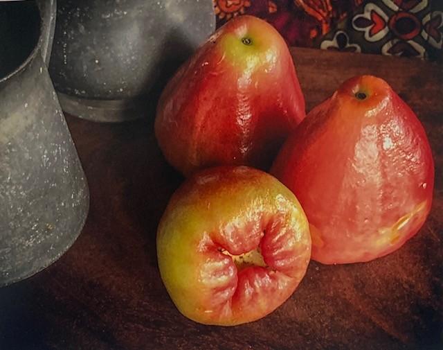 Emelyn Morris-Sayre - Malay Apple 2