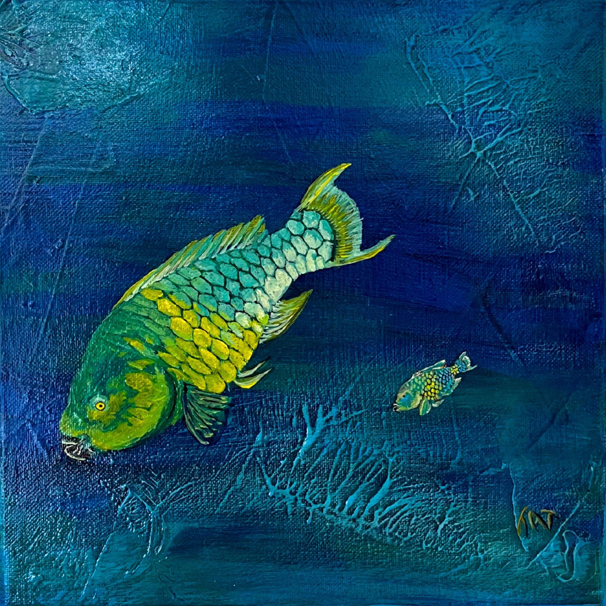 Timothy Toomey - Assorted Underwater Scenes #2