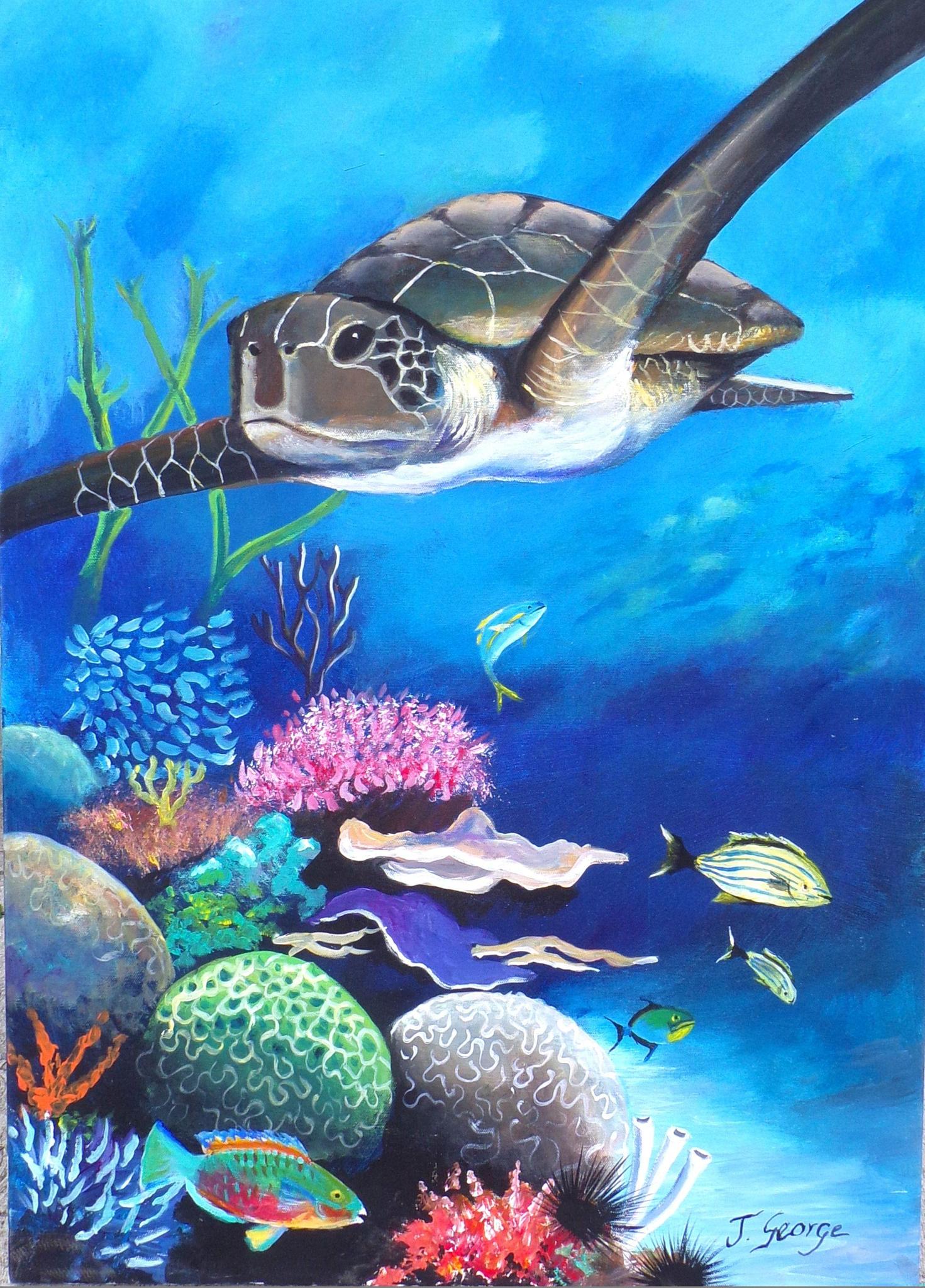 Joffre George - Turtle Coral Fish