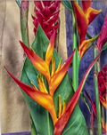 Emelyn Morris-Sayre - Heliconia Flower