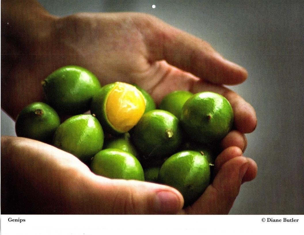Diane Butler - Genip