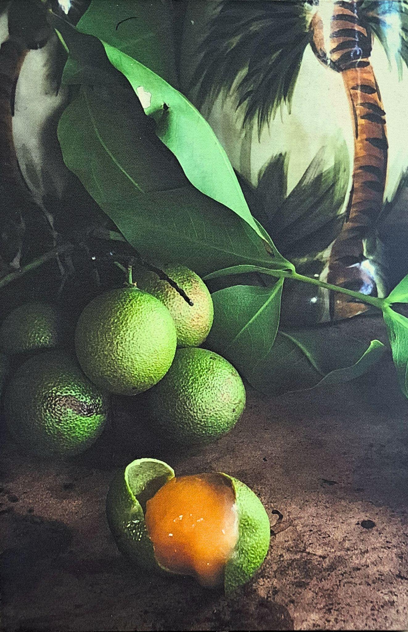 Emelyn Morris-Sayre - Kenip Print