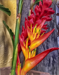 Emelyn Morris-Sayre - Heliconia Flower 2