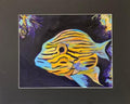 Elizabeth Keith - Fish