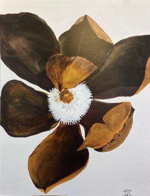 Victoria Nelson - Matted Prints