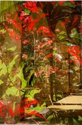 Bev Lewis - Crotons