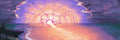Ayla Siverly - Hibiscus Sunrise