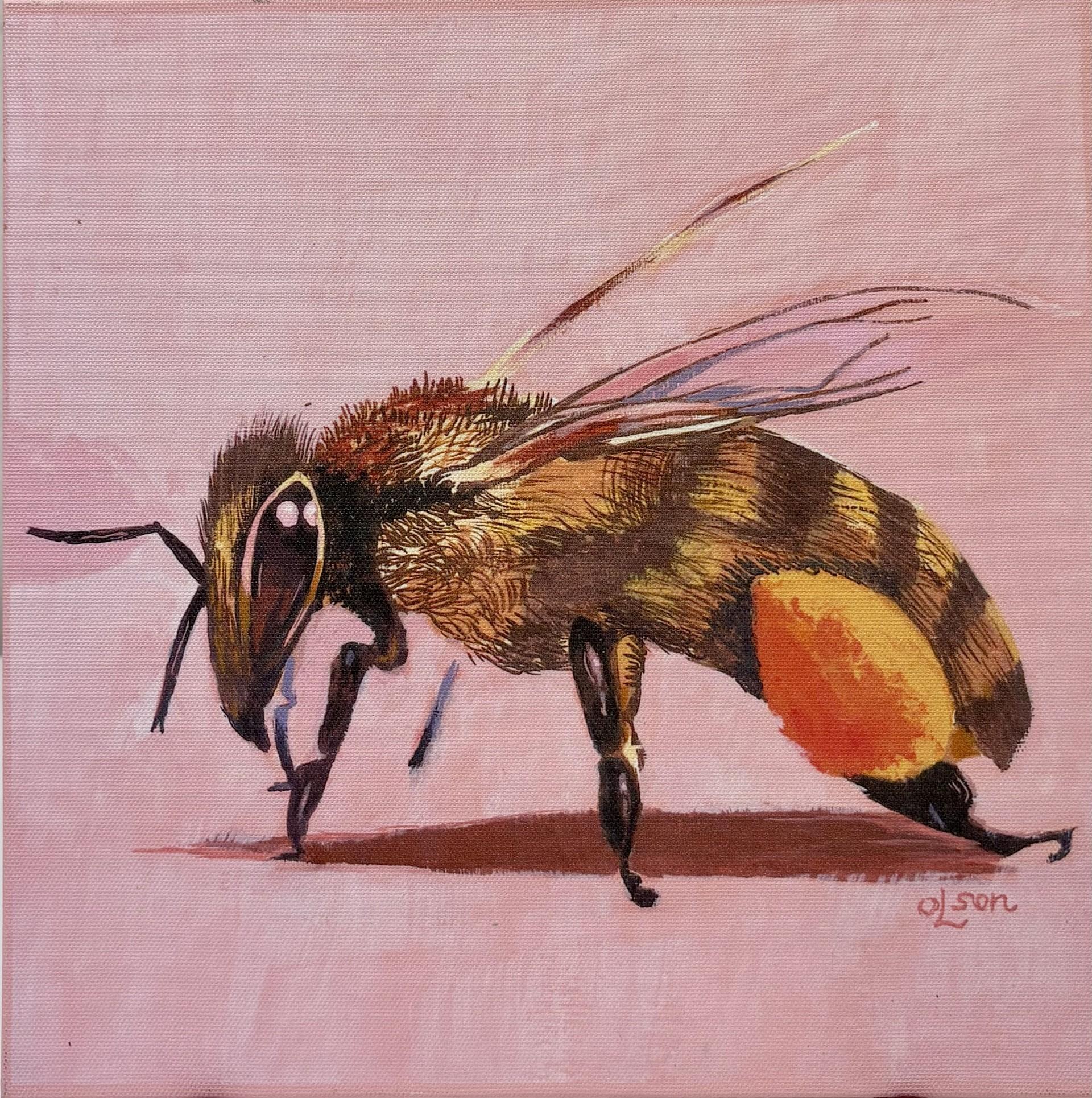 Christopher Olson - Bee 2
