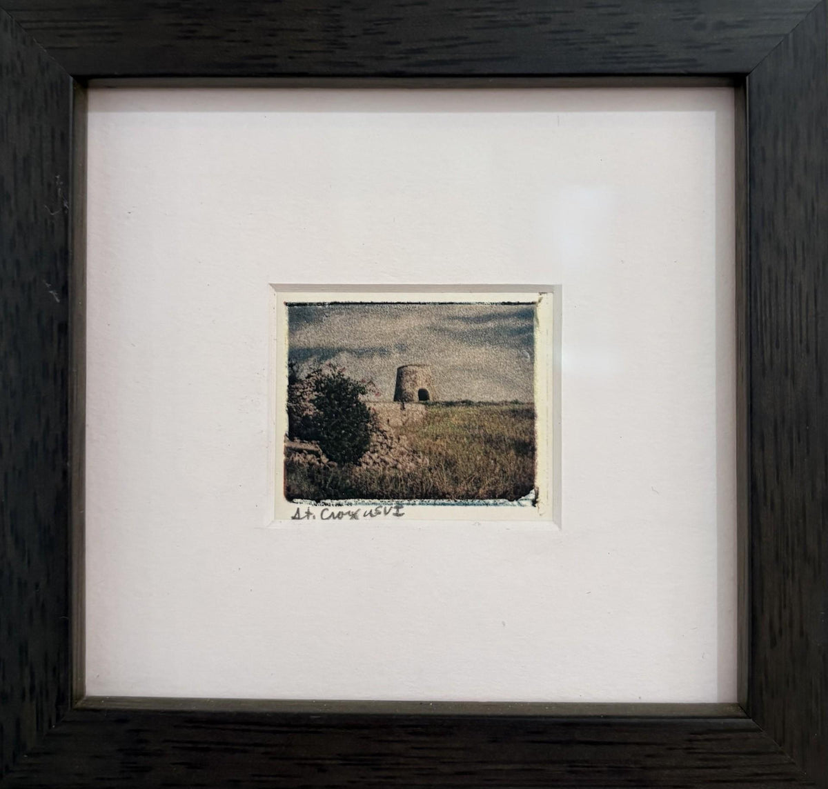 Sarah Cole - Polaroid Transfers