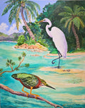 Marilyn May - Little Green Heron & Friend