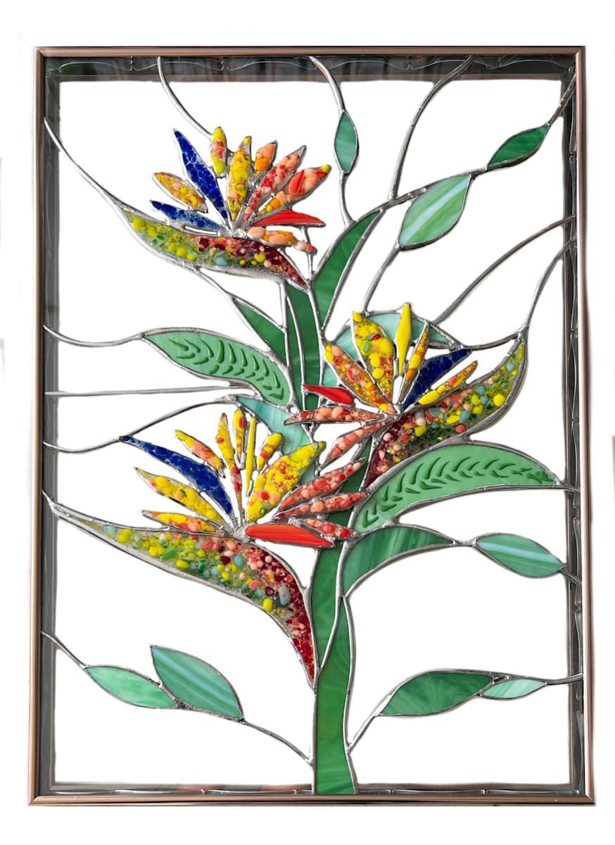 Jona Siverly - Birds of Paradise