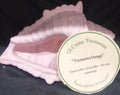 St. Croix Treasure - Large Conch Shell