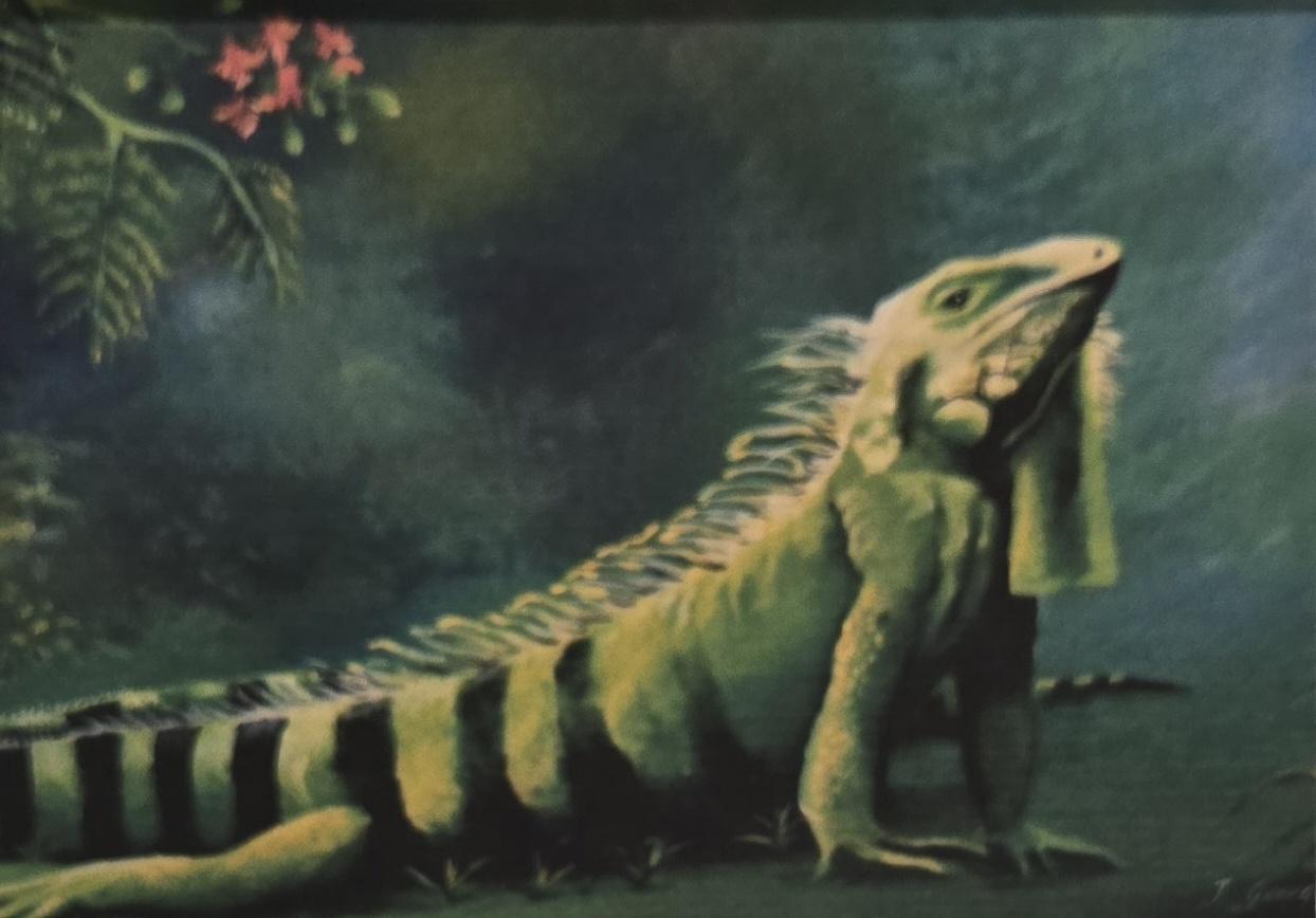 Joffre George - Iguana
