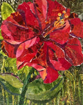 Melissa Graham - Flower #1