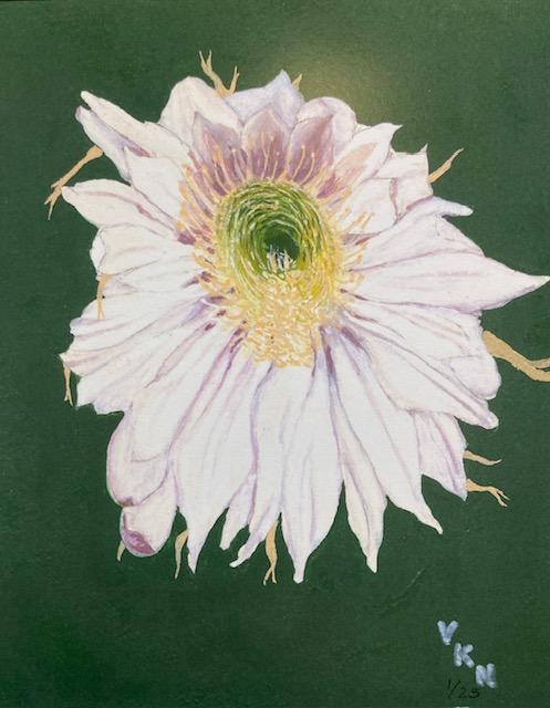 Victoria Nelson - Matted Prints
