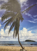 Emelyn Morris-Sayre - Palm Green Cay