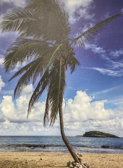 Emelyn Morris-Sayre - Palm Green Cay
