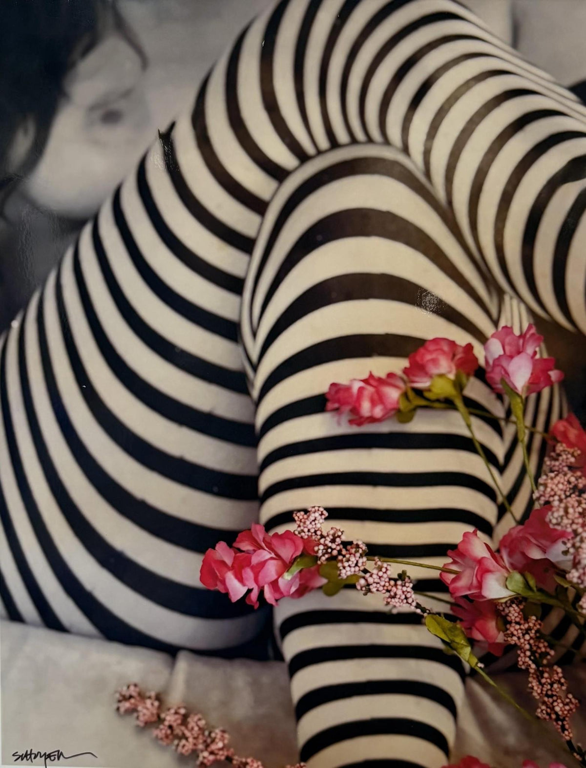 Stephanie Schoyer - Assorted Prints