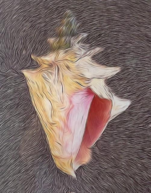 Emelyn Morris Sayre - Conch on Aluminum