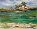 Debra Aronstein - Plum Beach