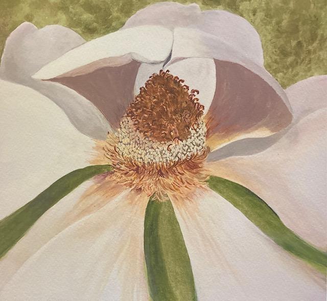 Victoria Nelson - Matted Prints