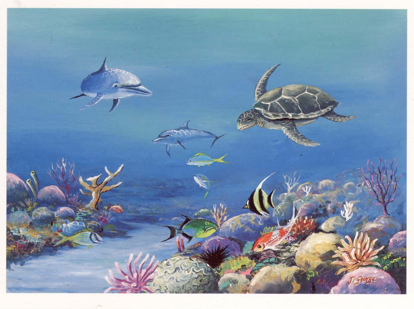 Joffre George - Turtle & Dolphins Reef