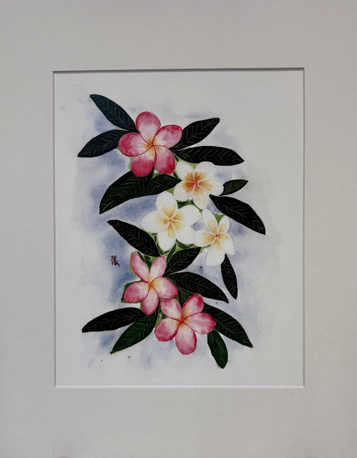 Josie Kozloff - Assorted  Prints