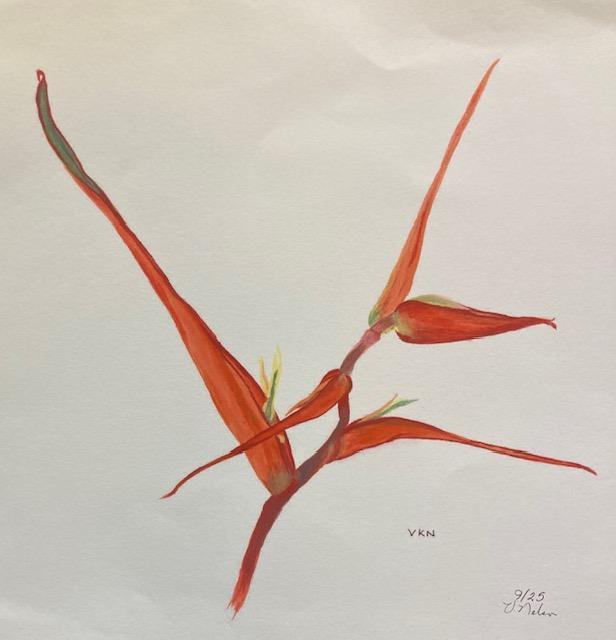 Victoria Nelson - Matted Prints