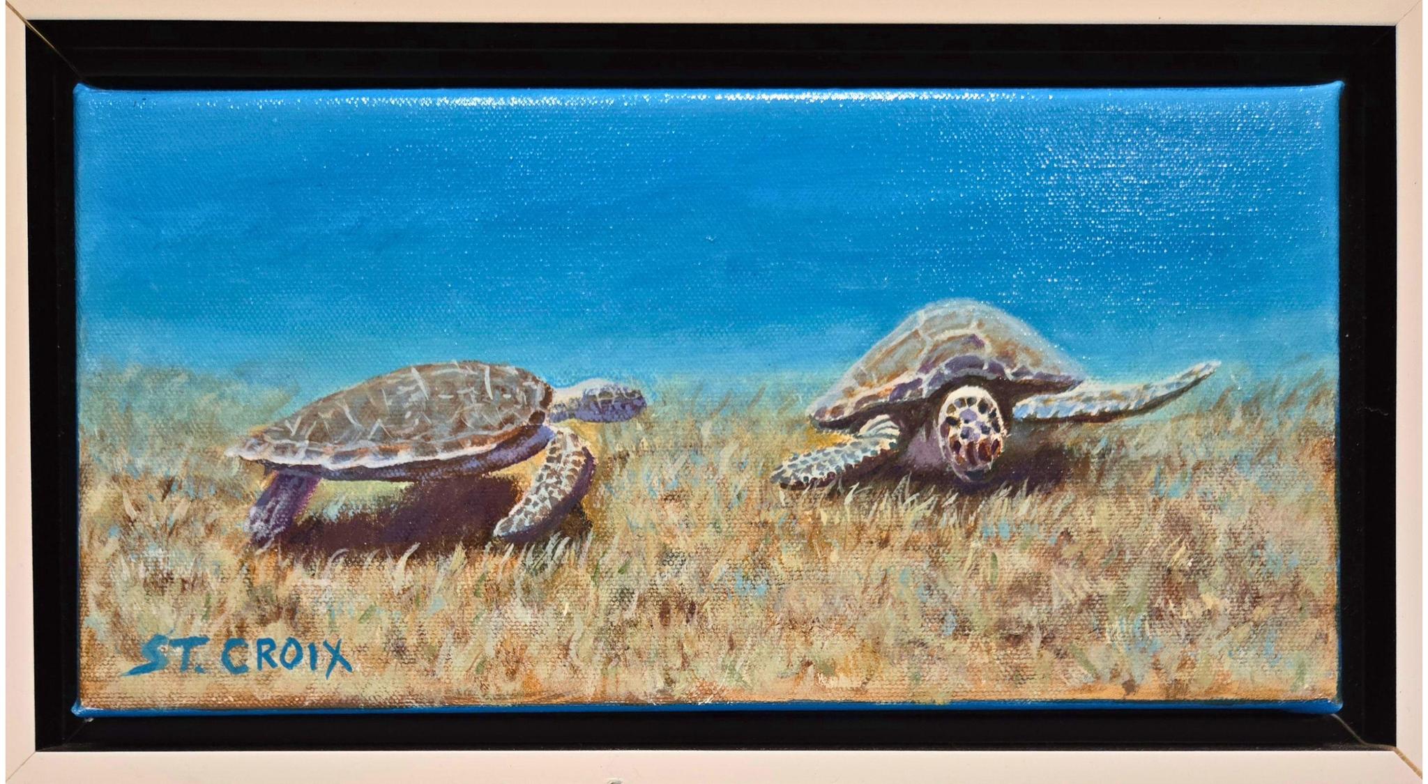 Steve Weidert - Two Turtles In Sea Grass