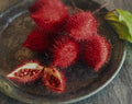 Emelyn Morris-Sayre - Annatto