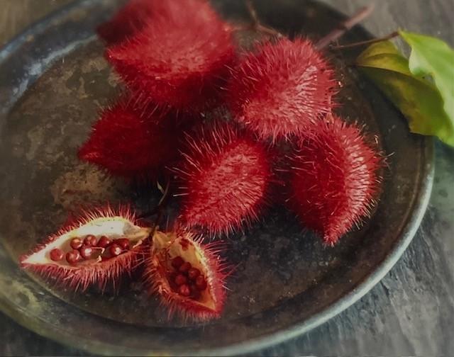 Emelyn Morris-Sayre - Annatto