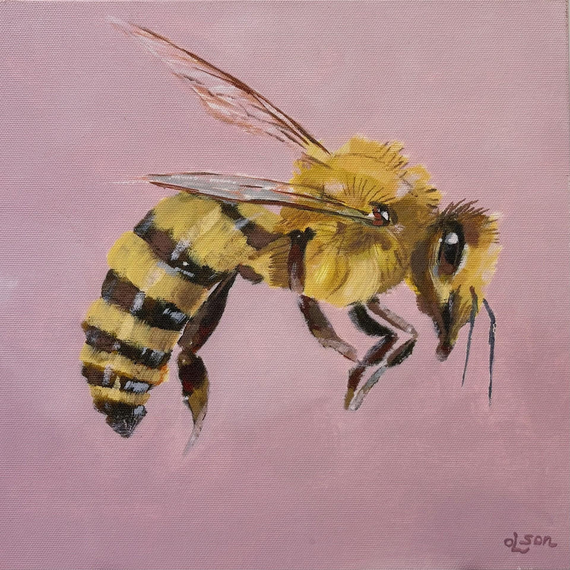 Christopher Olson - Bee 1