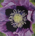 Jane Akin - Color Purple