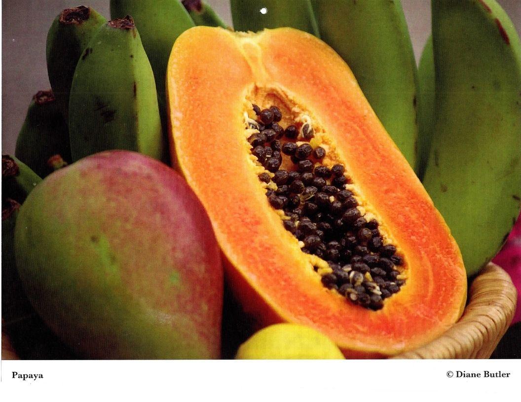 Diane Butler - Papaya
