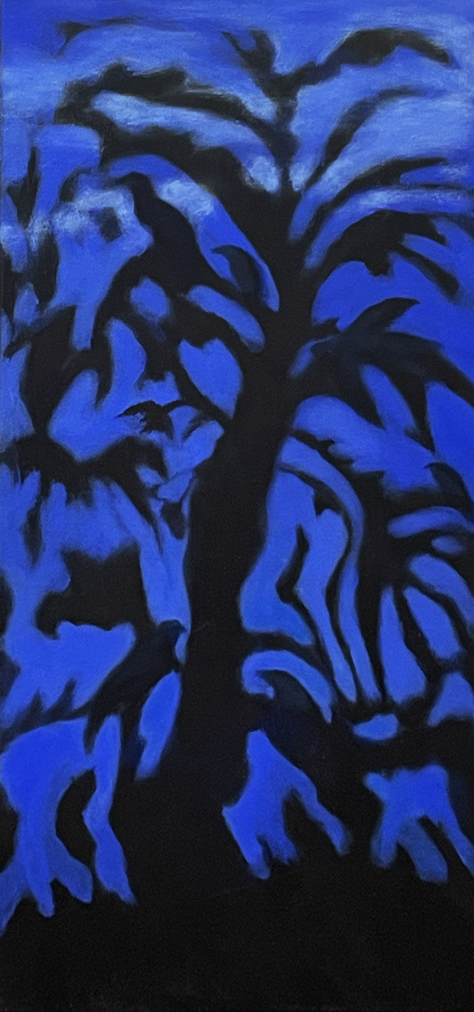 Janet Cook-Rutnik - Birds at Night