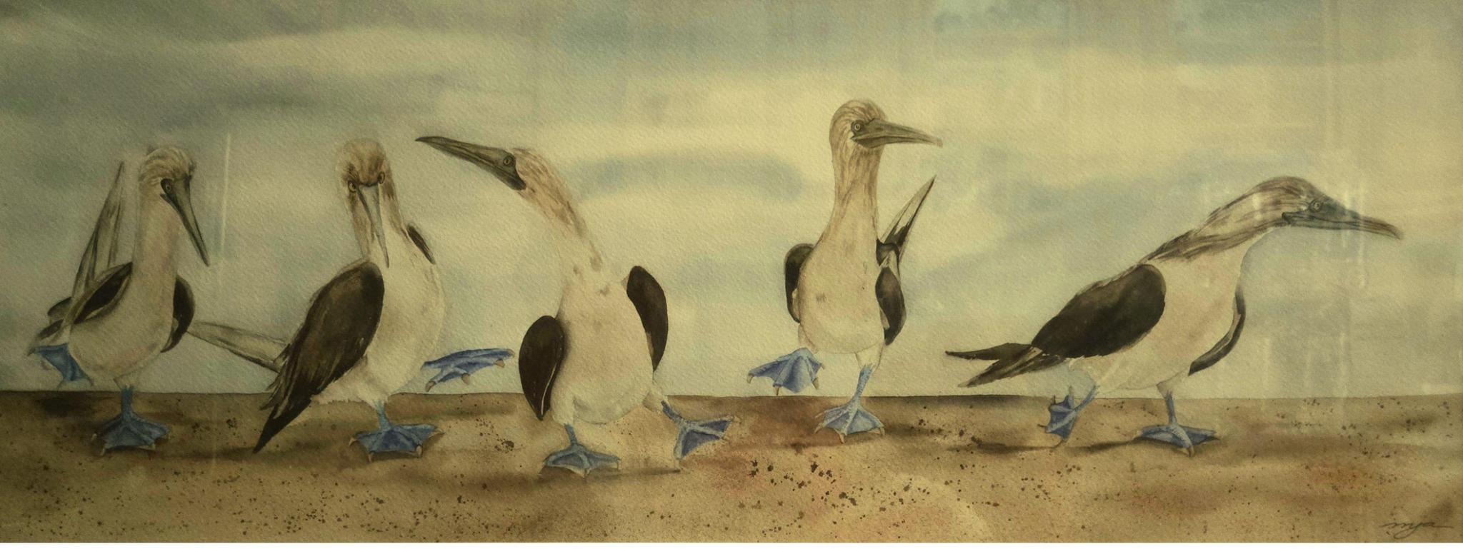 Jane Akins - Dancing Boobies, Matted 13x26 Print