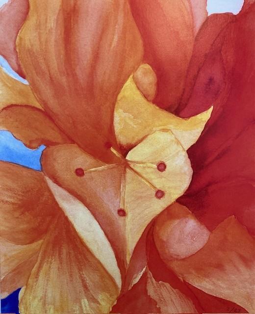 Victoria Nelson - Matted Prints